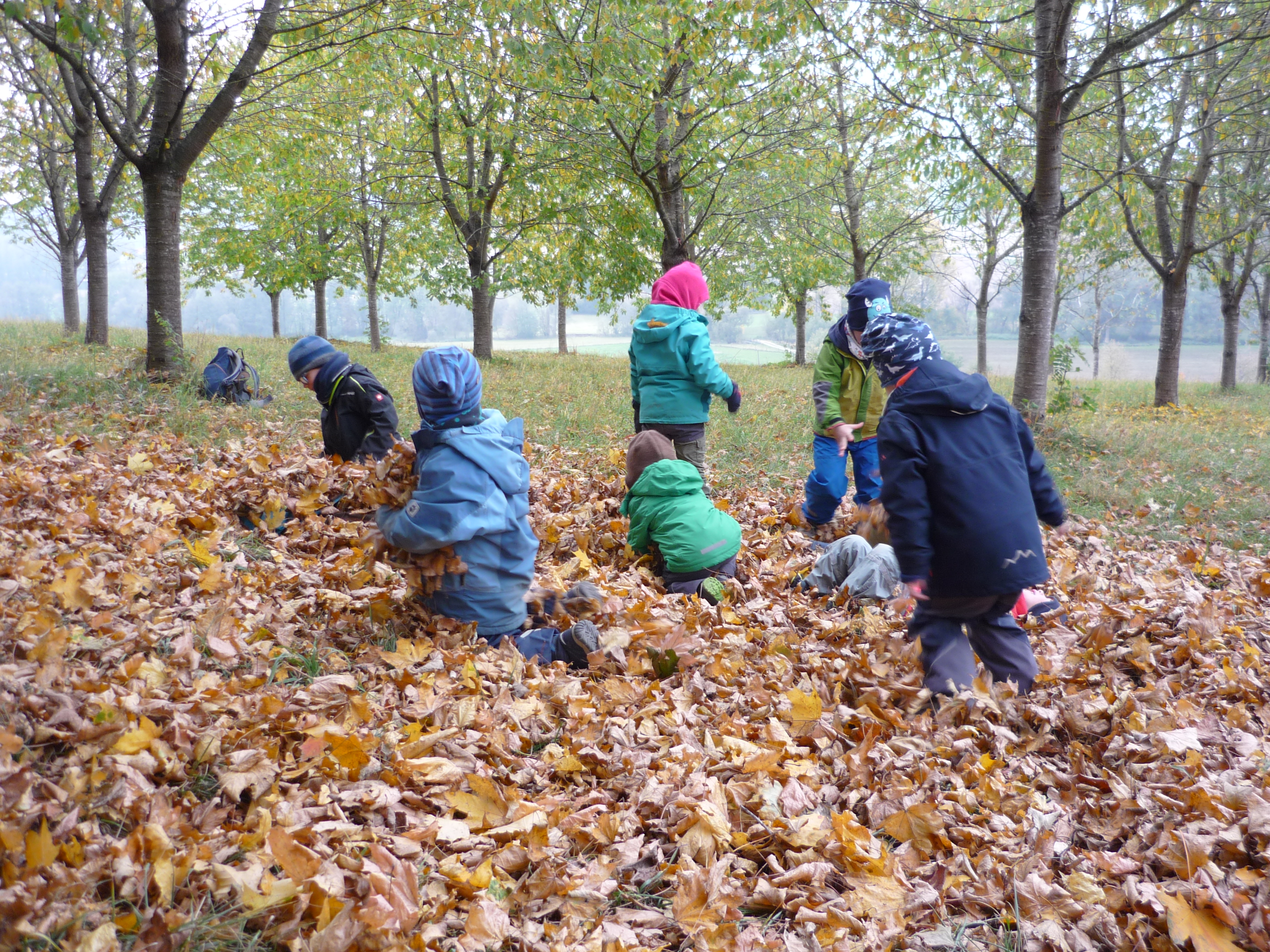 Kindergarten Schwindkirchen - Naturgruppe Waldhasen